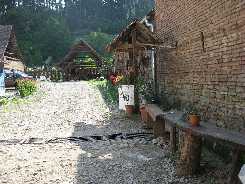 Pension Cartref Saschiz Esterno foto