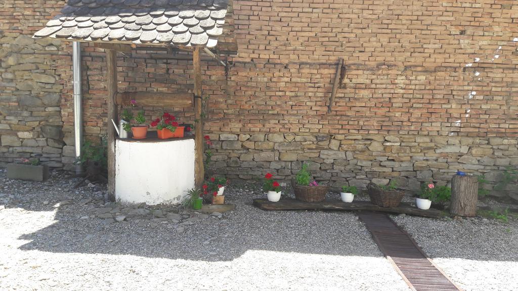 Pension Cartref Saschiz Esterno foto