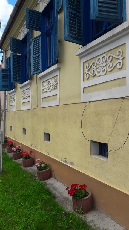Pension Cartref Saschiz Esterno foto